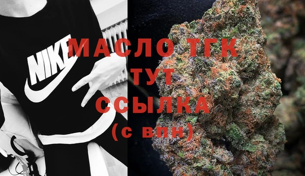 ALPHA PVP Няндома