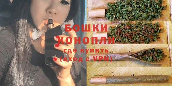 ALPHA PVP Няндома
