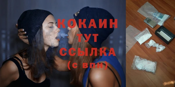 гидра Новокубанск