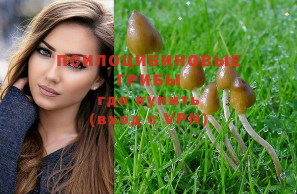 прущая мука Нягань